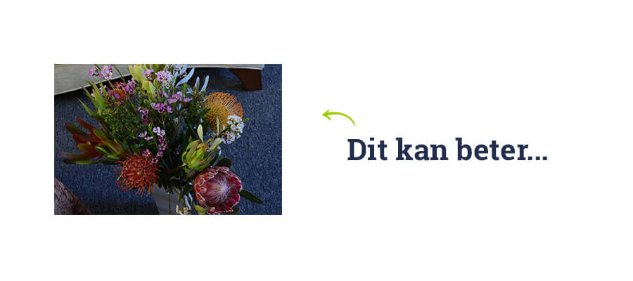 Webshop maken 2 product afbeelding fout