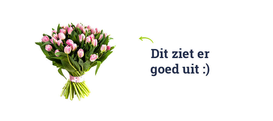 Webshop maken 3 product afbeelding goed