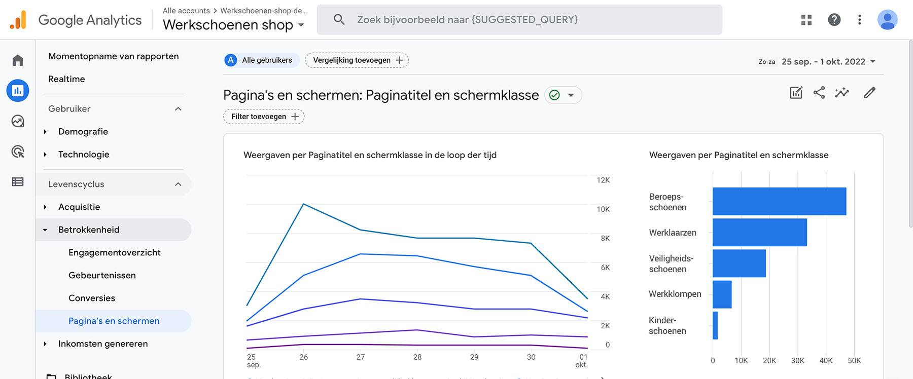 Google Analytics 4 - de basis 3 screenshot ga4