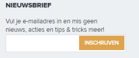 Nieuwsbrief versturen? Zo werkt dat 2 nieuwsbrief inschrijving