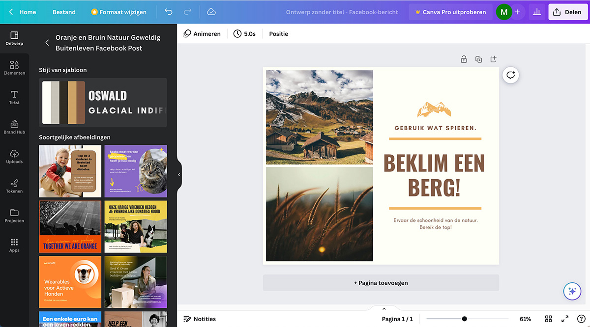 21 onmisbare tools voor ondernemers 1 canva tool