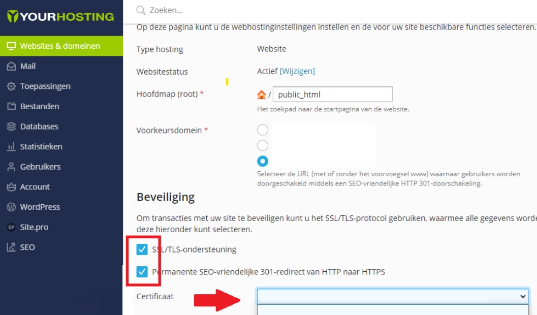 Vink in Plesk de beveiligingshokjes aan en selecteer jouw SSL-certificaat